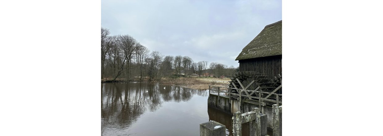 Magiske svampe og nisseskg: En kold sndagstur til urskoven ved Nrholm