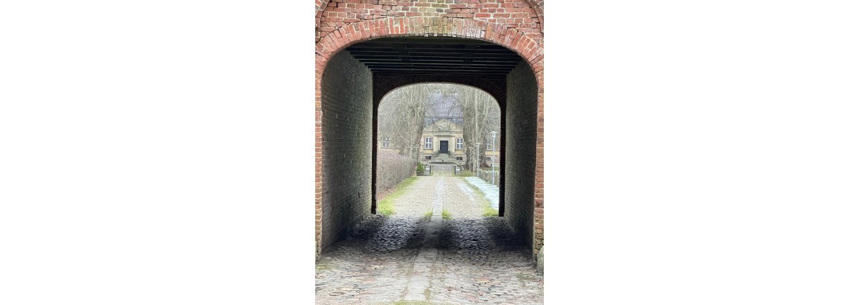 Magiske svampe og nisseskg: En kold sndagstur til urskoven ved Nrholm