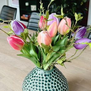 Naturtro evighedsblomster og planter til hjem og sommerhus