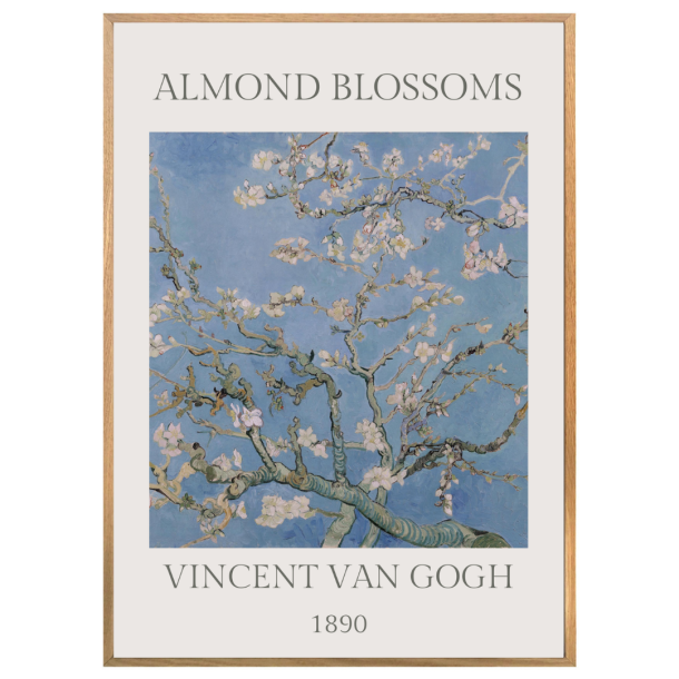 ALMOND BLOSSOMS | VINTAGEPLAKAT