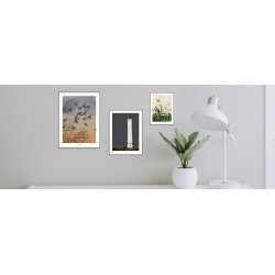 BLVANDSHUK FYR | PRINT COLLECTION