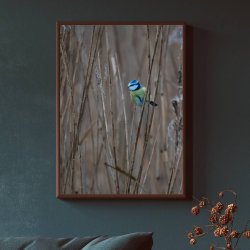 RAMME - MRK MASSIV EG 