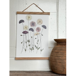 VALMUER FRA BREDE HAVEKIOSK