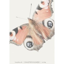 DAGPFUGLEJE - Vintage