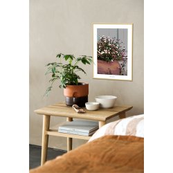 DAISY | PRINT COLLECTION