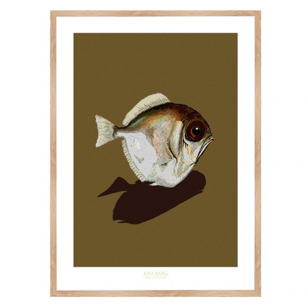 SILVER SPINYFIN NO 1 | PRINT COLLECTION