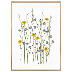 DET BLIVER SOMMER IGEN