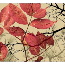 HYLD | AUTUMN COLLECTION - Rd