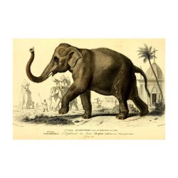 ELEFANT | VINTAGEPLAKAT