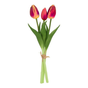 NATURTRO TULIPANER - VARM R�D (3 STK)