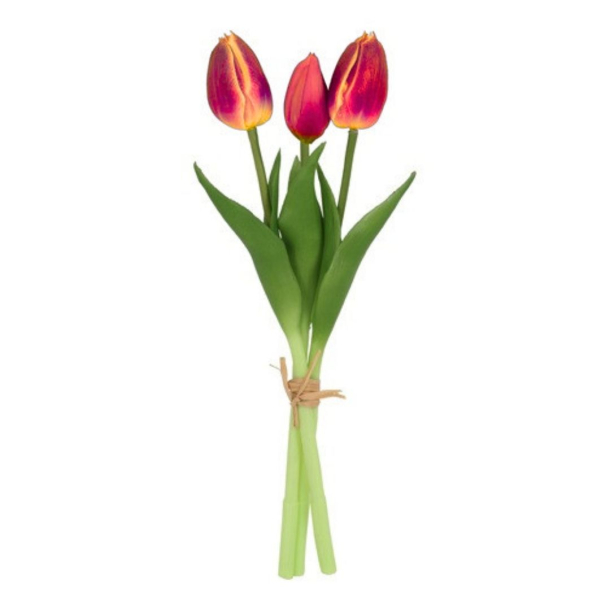 NATURTRO TULIPANER - VARM R�D (3 STK)