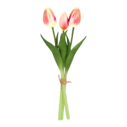 NATURTRO TULIPANER - PEACH (3 STK)