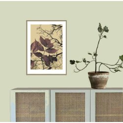 HYLD | AUTUMN COLLECTION - Blomme