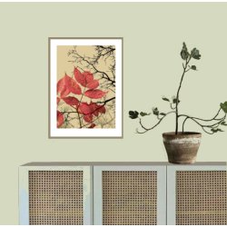 HYLD | AUTUMN COLLECTION - Rd