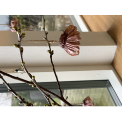 BLOMSTEROPHNG- PURPURSOLHAT - ROSA (Stor)