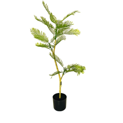 NATURTRO PLANTE - JACARANDA TR� 100 CM