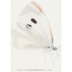 KLSOMMERFUGL - Vintage