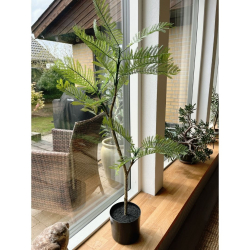 NATURTRO PLANTE - JACARANDA TR� 100 CM