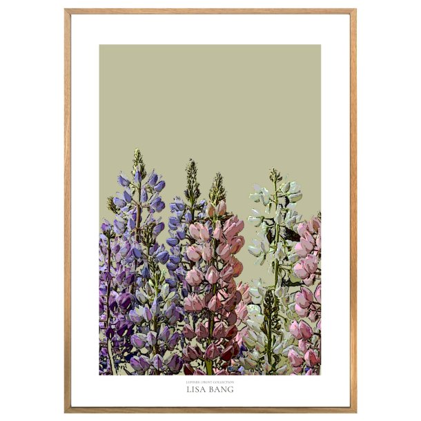 LUPINER | PRINT COLLECTION