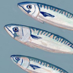 MAKREL | ART COLLECTION