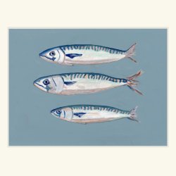 MAKREL | ART COLLECTION