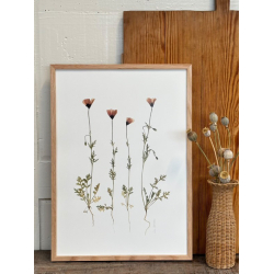 VALMUER FRA MOLS BJERGE