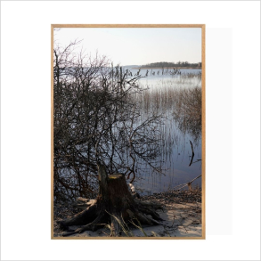 MARTSDAG VED FILS�