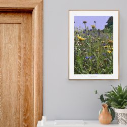 VILDE BLOMSETR NO. 2 | PRINT COLLECTION