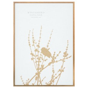 WINTERBIRD | PRINT COLLECTION