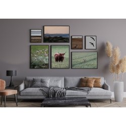 RDYR I KORNMARK - JEDSTED ENGE