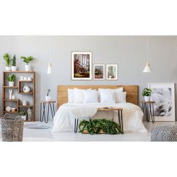 MOUNTAINBIKE | PRINT COLLECTION