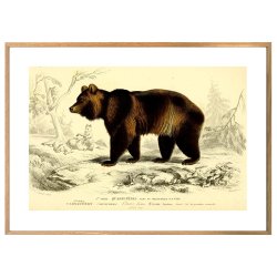 BRUN BJRN | VINTAGEPLAKAT