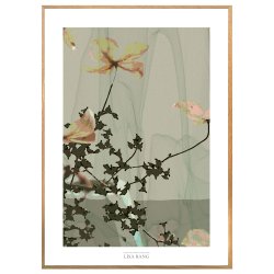 CLEMATIS | PRINT COLLECTION