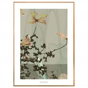 CLEMATIS | PRINT COLLECTION