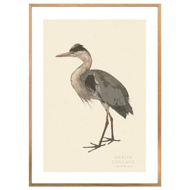 HERON | PRINT COLLECTION