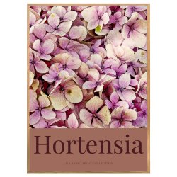 HORTENSIA | PRINT COLLECTION