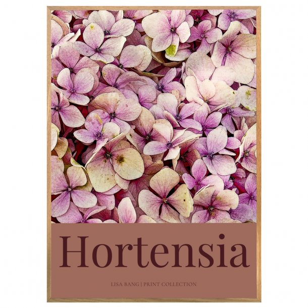 HORTENSIA | PRINT COLLECTION