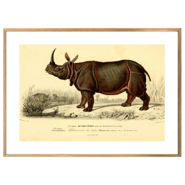 NSEHORN | VINTAGEPLAKAT