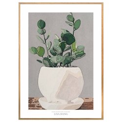 PLANTE I KRUKKE | PRINT COLLECTION