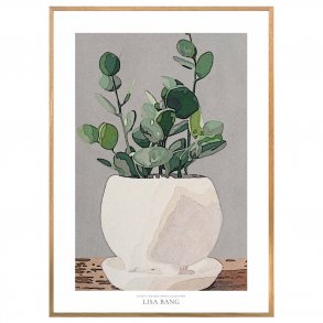 PLANTE I KRUKKE | PRINT COLLECTION