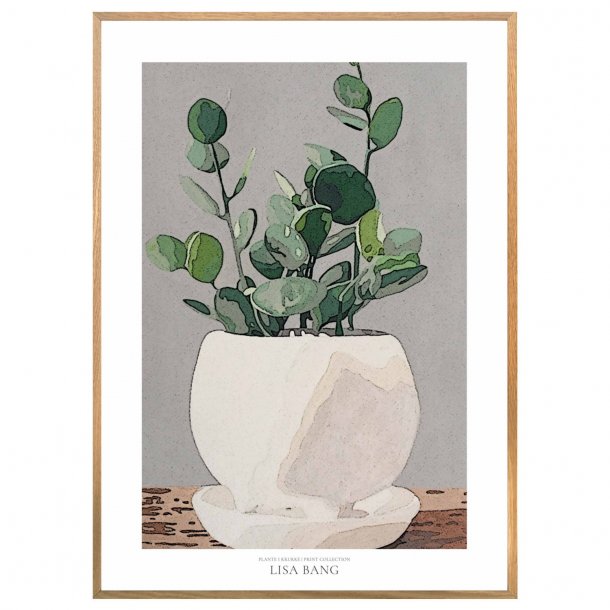 PLANTE I KRUKKE | PRINT COLLECTION