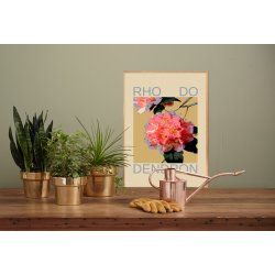 RHODODENDRON | PRINT COLLECTION