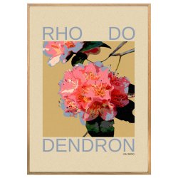 RHODODENDRON | PRINT COLLECTION