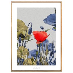 VALMUE | PRINT COLLECTION