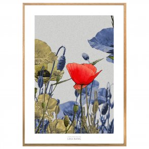 VALMUE | PRINT COLLECTION