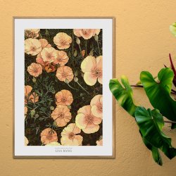 VALMUER | PRINT COLLECTION