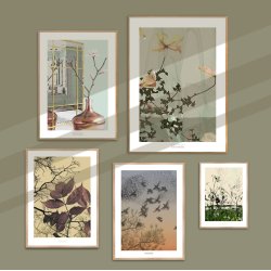 CLEMATIS | PRINT COLLECTION