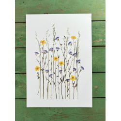 DET BLIVER SOMMER IGEN