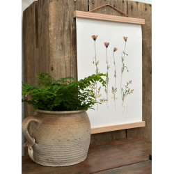 VALMUER FRA MOLS BJERGE