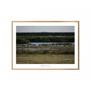 RASTENDE SKESTORKE - Sneum Diges, Vestjylland